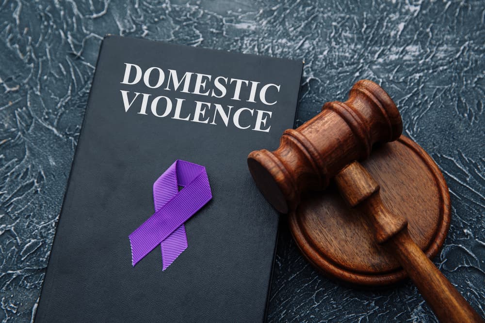 A gavel and a book on domestic violence law placed on a grey table.